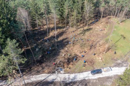 Zračni posnetek skupine ljudi pri sadnji dreves v gozdu